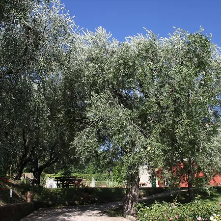 Гостевой дом Casaliva Relais *
